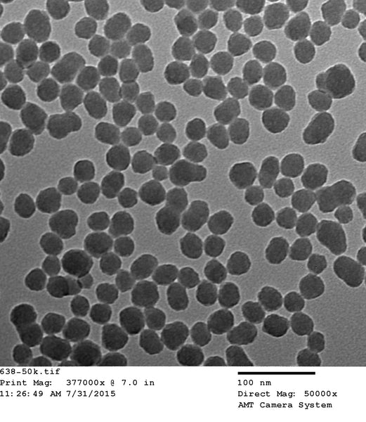 Polymer Coated Silica Nanoparticles