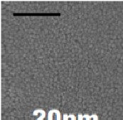 Silica Nanoparticles