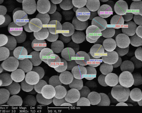 SEM Imaging