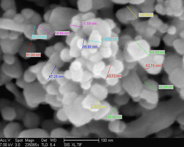 SEM Imaging