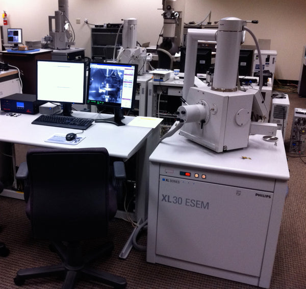 SEM Imaging