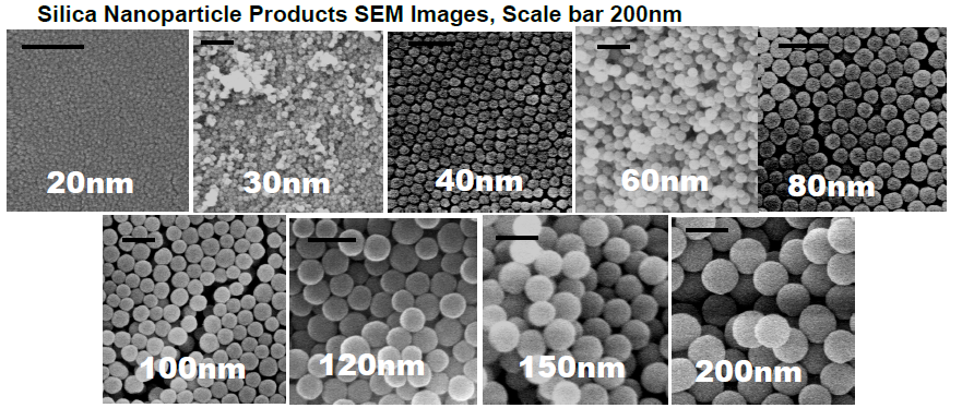 Silica Nanoparticles