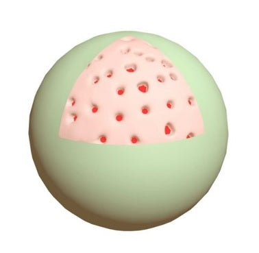 Polymer Coated Silica Nanoparticles